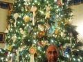 blue_room_tree_1